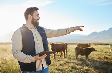 Image showing Point, cow or agriculture man with tablet on farm for sustainability, production or industry growth research. Agro, happy or farmer on countryside field for dairy stock, animals or food with smile