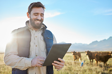 Image showing Smile, cow agriculture or man with tablet on farm for sustainability, production or industry growth research. Agro, happy or farmer on countryside field for dairy stock, animals or food checklist