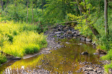 Image showing small wild river in Bohemian forest