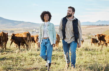 Image showing Agriculture, black woman and man on farm, cows for beef production and walking countryside. Farming, African American female, happy male and environment for diary, sustainability and cattle farmers