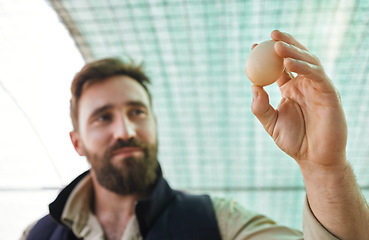 Image showing Agriculture, farm and farmer with egg in hand for inspection, growth production and health check. Poultry farming, food industry and man with chicken eggs for export, protein sale and quality control