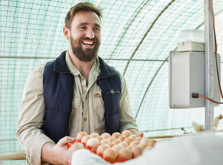 Image showing Farm, agriculture and man with egg for quality control, growth production and food industry. Poultry farming, countryside and farmer with chicken eggs for logistics, protein market and inspection