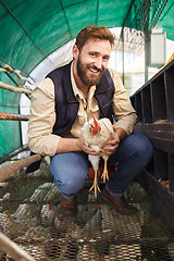 Image showing Man, chicken farmer and portrait with bird for eggs, protein or organic meat product in agriculture industry. Farming, poultry expert or inspection of animal for health, wellness or sustainability