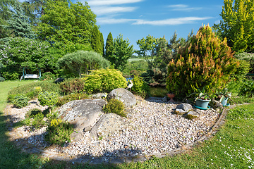 Image showing summer garden with conifer trees