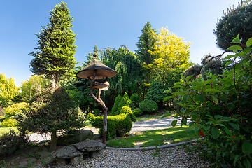 Image showing summer garden with conifer trees