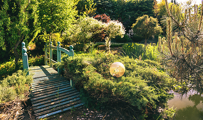 Image showing small green footbridge over a pond