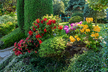 Image showing summer garden with conifer trees