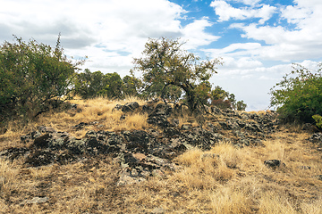 Image showing Ethiopian landscape, Ethiopia, Africa wilderness