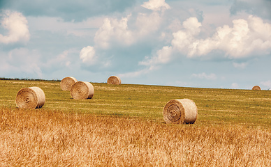 Image showing Straw bales stacked in a field at summer time