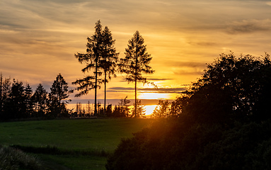 Image showing summer sunset in countryside