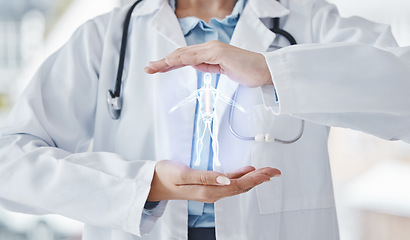 Image showing Hologram, medical and doctor with digital anatomy, skeleton and futuristic healthcare professional with ai. 3d, analysis and virtual holographic body in hands for hospital innovation and research