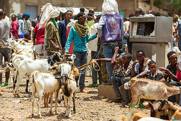 Image showing Ethiopian people selling firewood, Ethiopia Africa