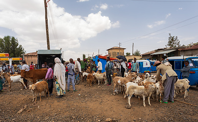 Image showing Ethiopian people selling firewood, Ethiopia Africa