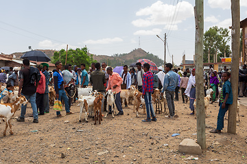 Image showing Ethiopian people selling firewood, Ethiopia Africa