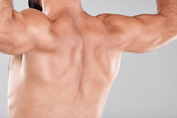 Image showing Man, fitness muscle and back flexing in studio isolated on a gray background. Sports, training and male model or bodybuilder showing strong biceps after exercise, workout or bodybuilding for power.