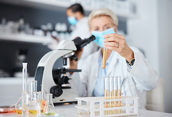 Image showing Microscope, face mask and science woman analysis of bacteria, virus or covid liquid solution in laboratory. Biotechnology, vaccine research or medicine study of scientist or medical person test tube