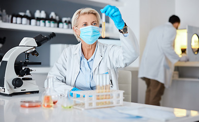 Image showing Senior woman, scientist and test tube with pharmaceutical research in a laboratory. University lab, chemistry study and focus of a clinic employee checking chemical results for healthcare innovation