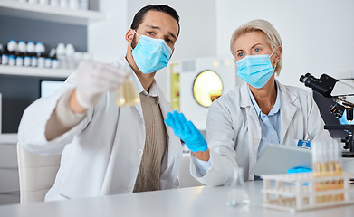 Image showing Medical science, doctors and laboratory with face mask or ppe for medicine research, test or analysis. Man and woman scientist collaboration for futuristic chemical cure, innovation and development
