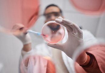 Image showing Scientist, petri dish and pharma test worker man working on science research in a laboratory. Medical container, study and analytics of a pharmaceutical solution of a lab with hospital data