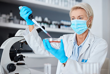 Image showing Woman, doctor and pipette in experiment with mask or gloves for safety, sample or testing in scientific research at lab. Female scientist or medical expert working with chemical in science laboratory