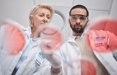 Image showing Teamwork, laboratory and science by scientists in analytics research a sample in a lab working for results. Professional, expert and medical technician in a laboratory as team, DNA and collaboration