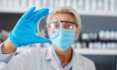 Image showing Scientist with petri dish in hand and analysis of sample science study in lab, medical research and senior woman in face mask. Scientific innovation, biotechnology or pharmacy with glove for safety