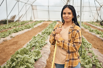 Image showing Black woman, farmer in portrait on farm and farming in greenhouse, sustainability with crop harvest. Environment, agriculture and fresh vegetable produce, green lettuce and eco friendly production