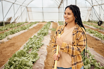 Image showing Black woman, farmer happy with agriculture and thinking about farming in greenhouse, sustainability with crop harvest. Environment, farm and vegetables with green lettuce production and agro vision