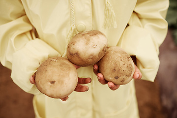 Image showing Child, hands or harvesting potatoes in farming greenhouse, agriculture field or nature environment growth or sustainability. Zoom, girl or farmer kid and ground vegetables for learning about garden