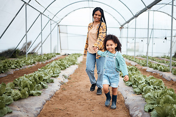 Image showing Agriculture, greenhouse and mother walking with girl for gardening, farming and harvest vegetables together. Black family, nature and happy child with mom on farm for growing plants, food and produce