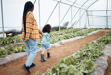 Image showing Agriculture, farm and mother with girl in greenhouse for gardening, farming and harvest vegetables. Black family, nature and happy child walking with mom for growing plants, organic food and produce