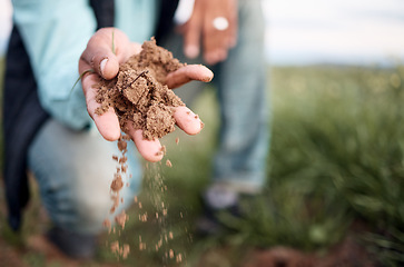 Image showing Farmer, hands or checking soil in farming field, agriculture land or countryside sustainability in vegetables growth success. Zoom, black man or gardening worker holding fertilizer, mud or earth dirt