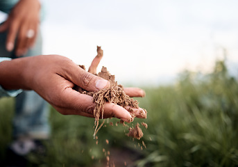 Image showing Black man, hands or checking soil in farming field, agriculture land or countryside sustainability in vegetables growth success. Zoom, farmer or gardening worker holding fertilizer, mud or earth dirt