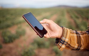 Image showing Phone, hands and farmer at farm typing, texting or web scrolling on sustainable technology. Mobile screen, agriculture and female with 5g smartphone for social media or app to check growth of plants