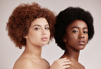 Image showing Friends, beauty with face and black women in portrait,.inclusive cosmetic care on studio background. Natural, cosmetics and hair, healthy skin and melanin, makeup and dermatology with glow