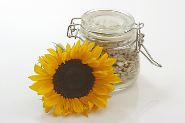 Image showing Sunflower seeds