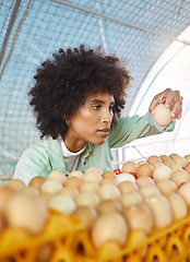 Image showing Sustainability, egg farming and black woman doing quality control in barn, chicken coop and sustainable business. Food, agriculture and eggs, farmer on poultry farm checking supply chain produce.