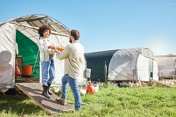 Image showing Couple, farmer and agriculture, chicken and eggs, poultry farming and nature in organic free range agro business. People, team and livestock, animal on farm and sustainability with quality assurance