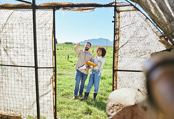 Image showing Couple farming, eggs and agriculture, chicken and inspection of greenhouse, quality assurance of poultry. People outdoor, agro business and organic, sustainability with livestock and animals on farm