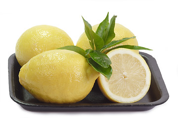 Image showing Lemons