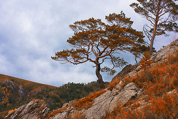 Image showing Amazing view of the autumn day