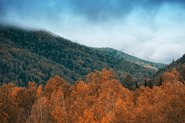 Image showing Amazing view of the autumn day