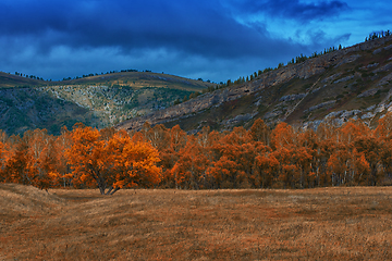 Image showing Amazing view of the autumn day