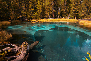 Image showing Geyser lake with thermal springs