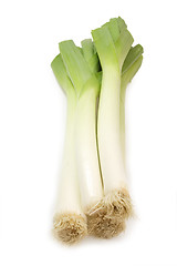 Image showing Leek