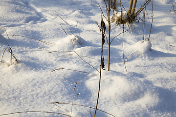 Image showing snow drifts