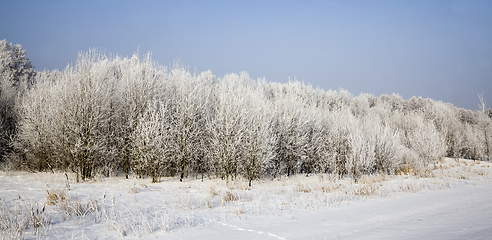 Image showing winter time of year