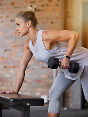 Image showing Bodybuilder, dumbbell and woman arm muscle in a gym for training, sports and exercise for wellness. Thinking, sport focus and athlete with weights for fitness and health workout performance