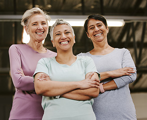 Image showing Senior woman, exercise group and portrait with arms crossed, smile and support for wellness goal. Elderly women, team building and happiness at gym for friends, solidarity or diversity for motivation