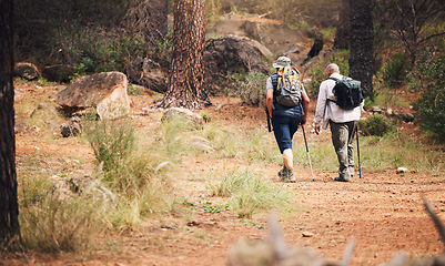 Image showing Hiking, forest and people on adventure in nature for fitness, exercise and trekking with backpack. Senior men as friends together outdoor for a hike for freedom, health and wellness in retirement